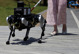 Çin gözdən əlillərə bələdçilik üçün robot itlər hazırlayacaq