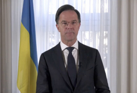    Niderland NATO ölkələrini    Ukraynanı silahlandırmağa çağırdı      