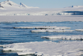       Tədqiqat:    Arktika yosunları mikroplastiklərlə çox çirklənib   